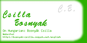 csilla bosnyak business card